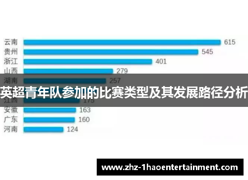 英超青年队参加的比赛类型及其发展路径分析